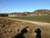 Blick von den gerade renaturierten Rheinauen bei Rietheim nach Kadelburg