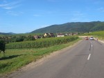 Die Route du vin geleitet uns von Ribeauvillé sanft höher nach Riquewihr