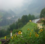 der Blick von Wassen Richtung Gotthard verspricht zwar nichts Besseres, doch wir versuchen es ...