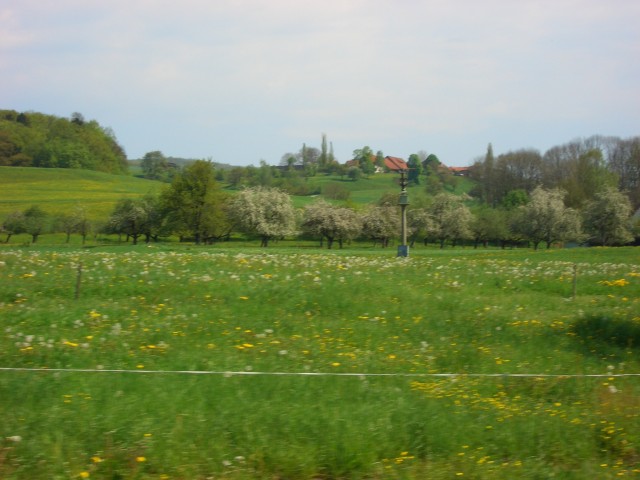links von der Strecke: Aussiedlerhöfe mit Rheinblick